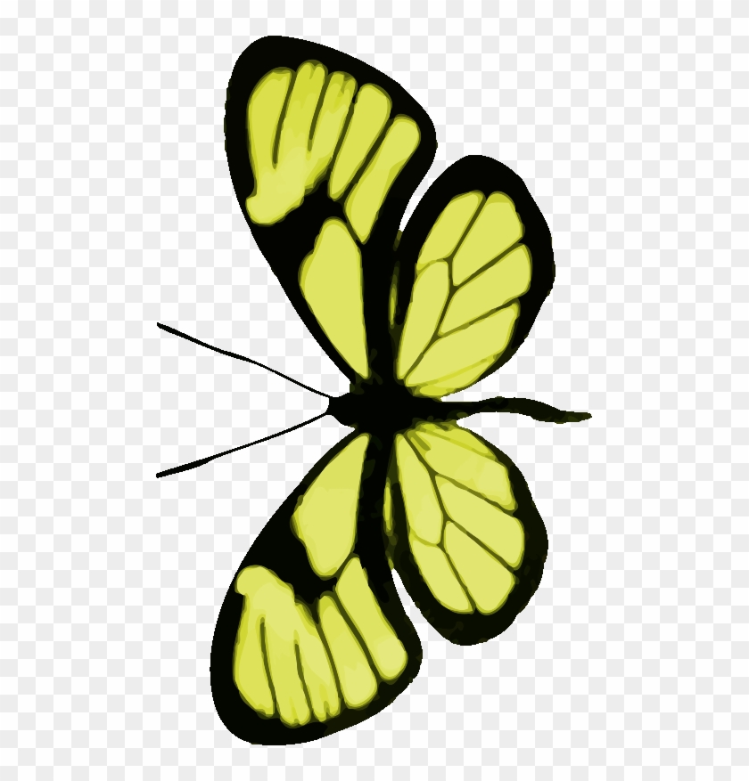 Png Clipart- Butterfly Pack - Clip Art #1291664