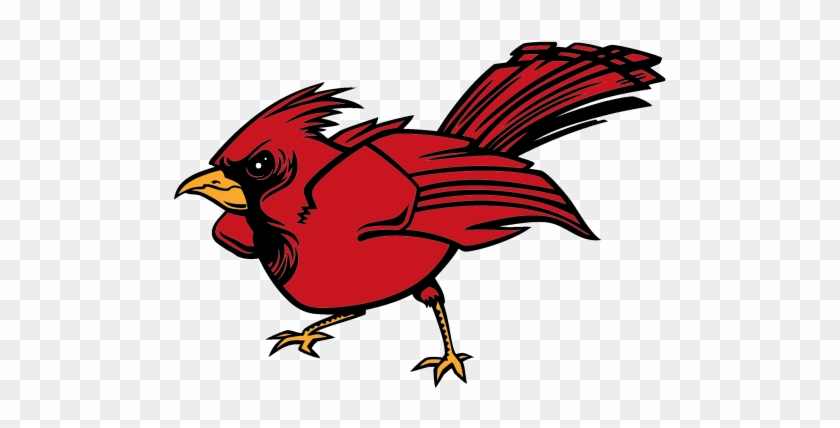 Cardinal - Cartoon #1292362