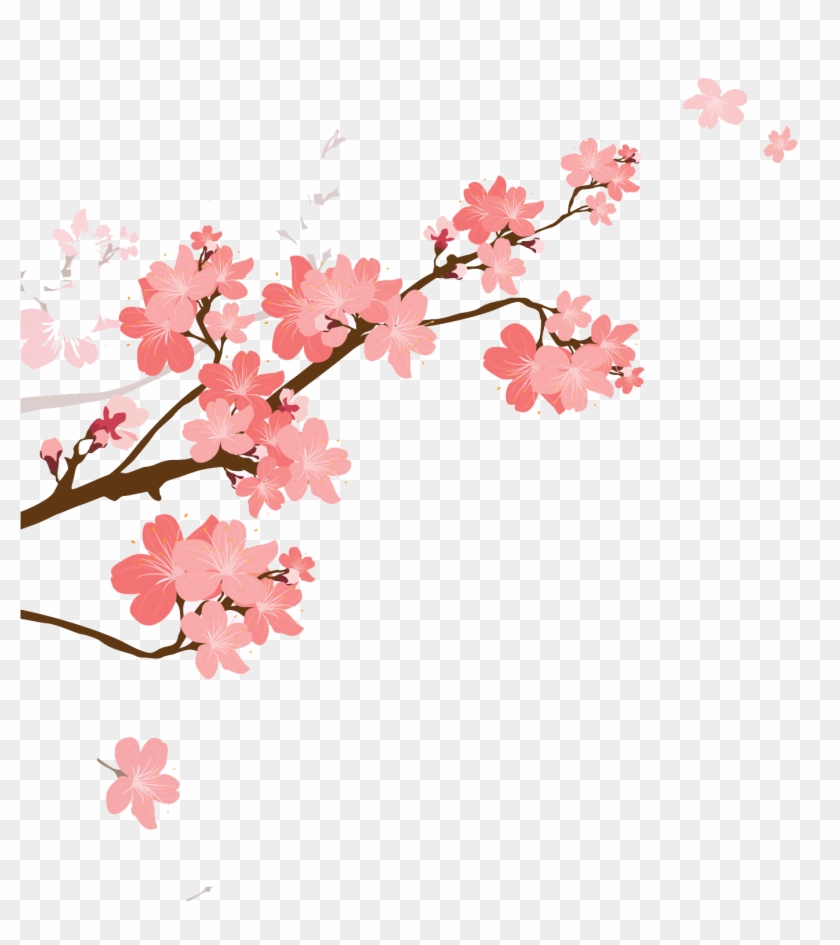 هنا - Cherry Blossom #1292519