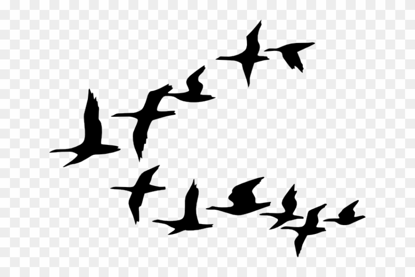 Birds Flying Clipart - Birds Cartoon Black And White #1292539