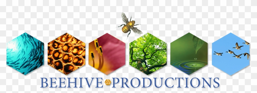 Through Our Online Work We Effectively Foster Deep - Bee Hive #1292576