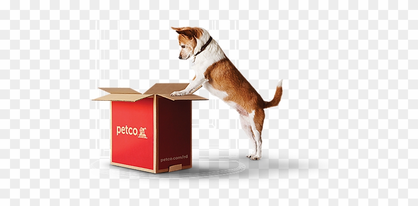 Petco #1292622