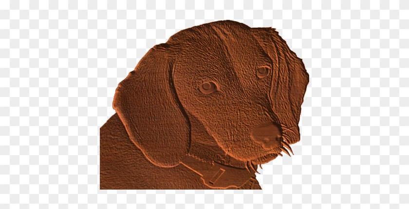 Beagle Dog Pattern - Cocker Spaniel #1292636