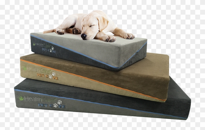 Memory Foam Pet Beds - Labrador Retriever #1292646