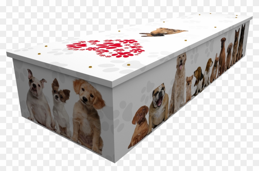 Dogs Coffin - Side - Cardboard Coffins #1292652