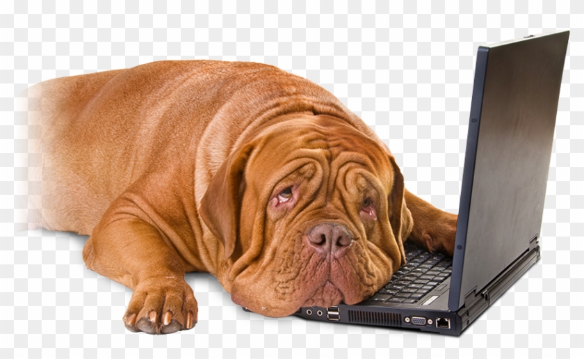 It's Time To Get Leaddog On Your Team If - Dog On Computer Png #1292701