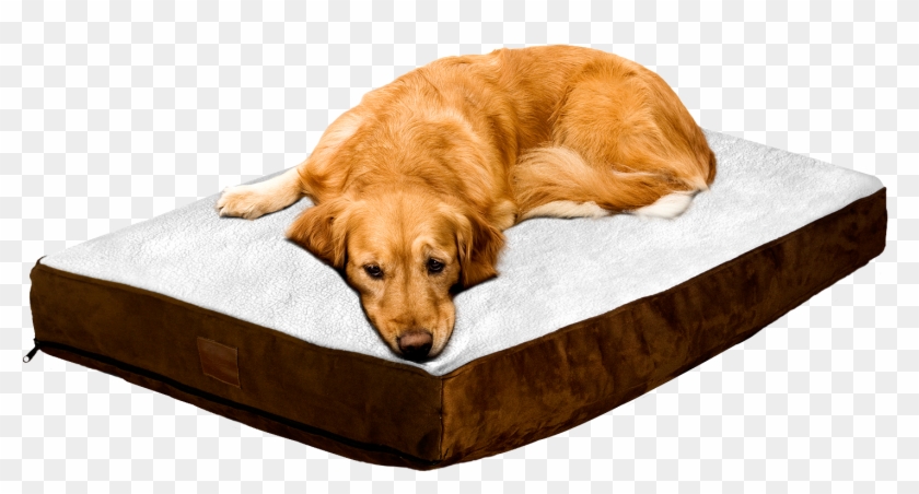 Floppy Dawg Dog Beds, Mats, Crate Covers, Leashes And - Floppy Dawg Large Dog Bed With Removable Cover And #1292713