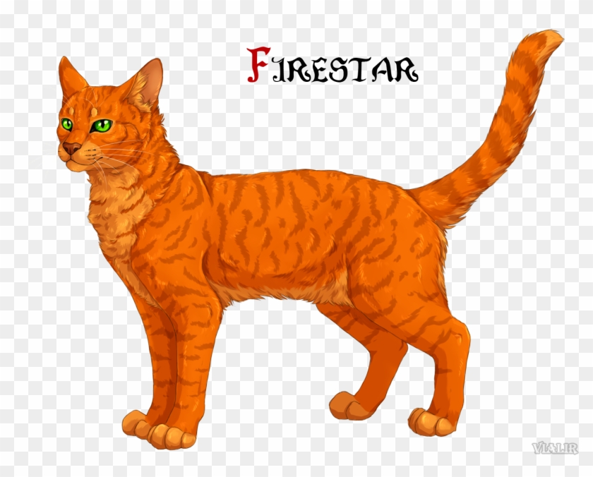 Firestar Is The Leader Of Thunderclan After Bluestar - Warrior Cats Deviantart Firestar #1293020