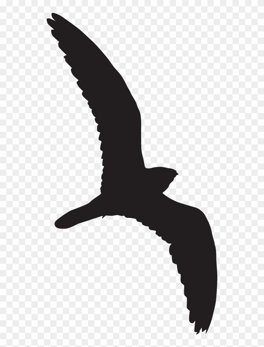Easter Willow Tree Branch Transparent Png Clip Art - Nighthawk Hawk Silhouette #1293095