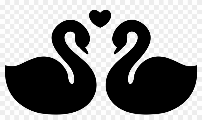 Swans Couple Fidelity Symbol Of Love Comments - Cygnini #1293315