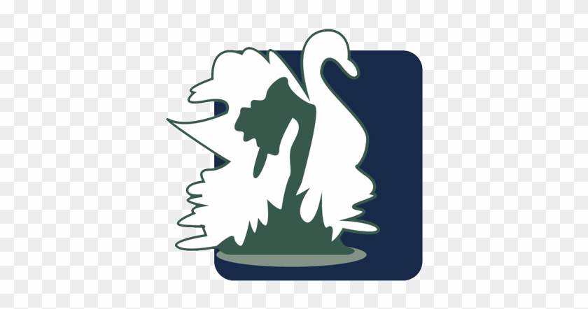 Hair - Bird #1293369