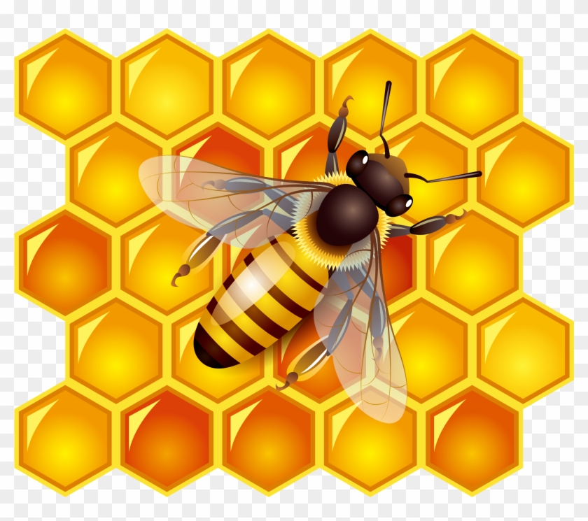 Honey Bee Honey Bee Clip Art - Clip Art Honey Bees #1293459