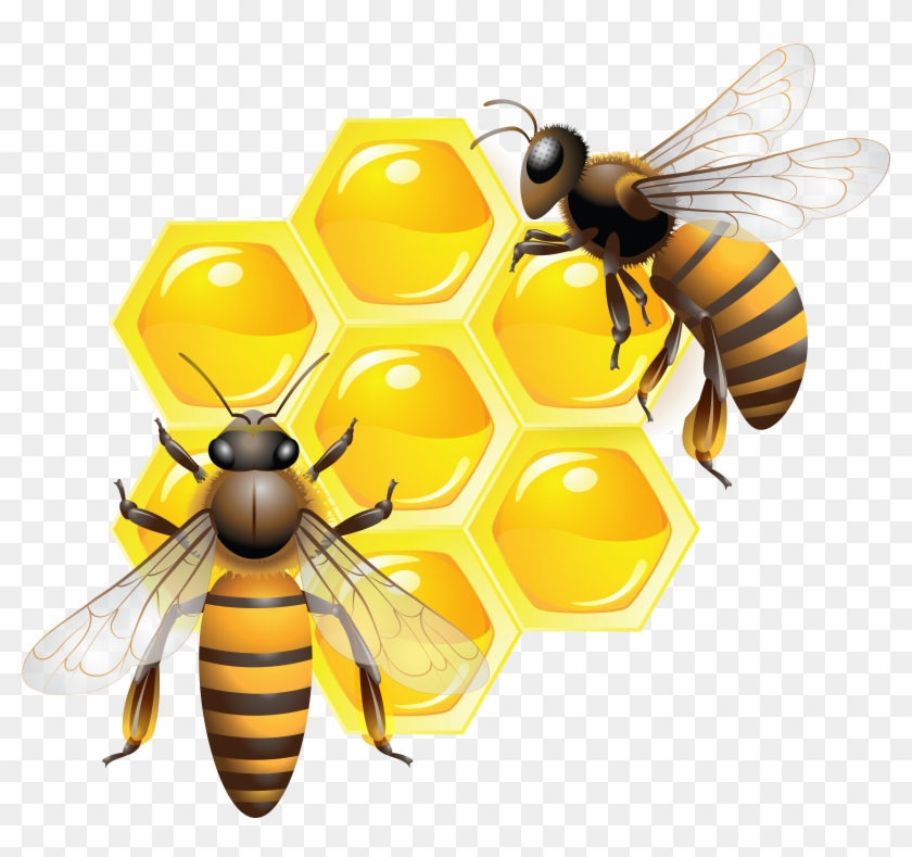 Honey Bee Clip Art - Honey Bee Clip Art #1293467