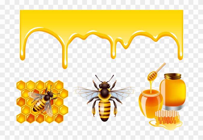 Honey Bee Honey Bee Clip Art - Honey Vector Free Download #1293468