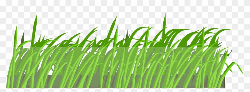 Lawn Cartoon Clip Art - Organisms Respond To Stimuli #1293565
