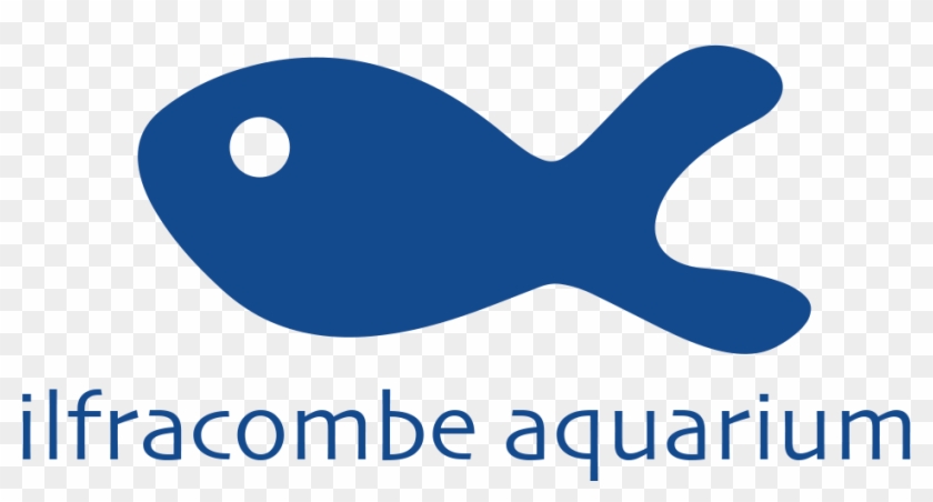 The Ilfracombe Aquarium #1293698