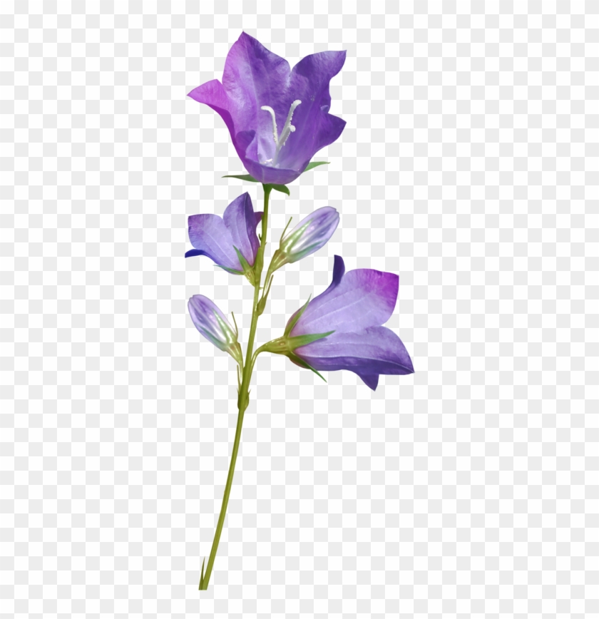 Partager - - Portable Network Graphics #1294098