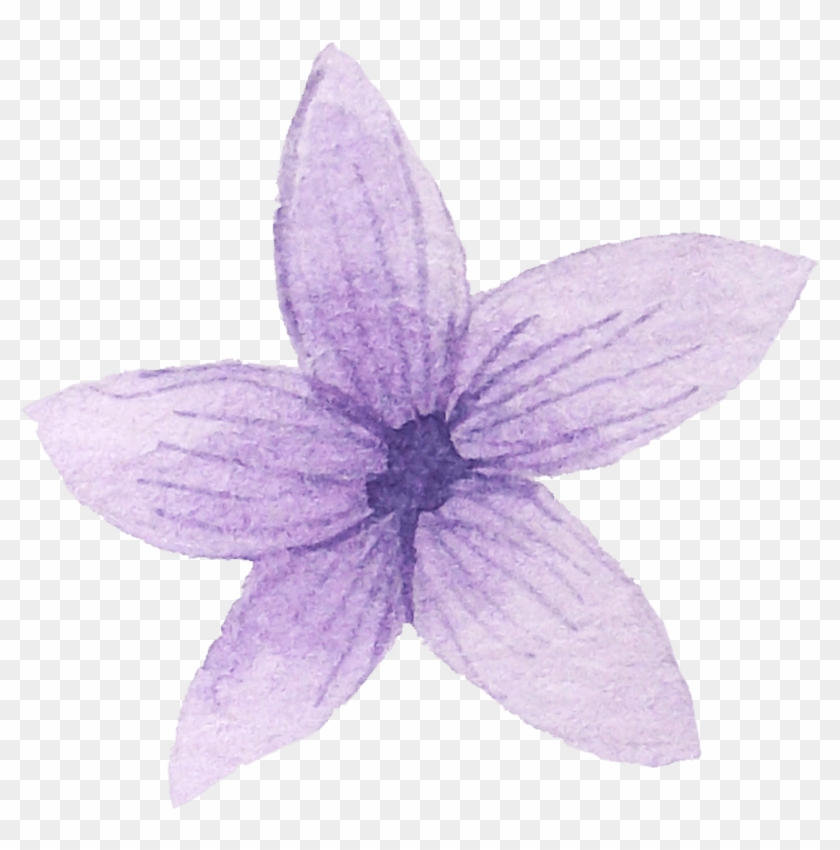 紫色星星花瓣 - Watercolor Painting #1294211