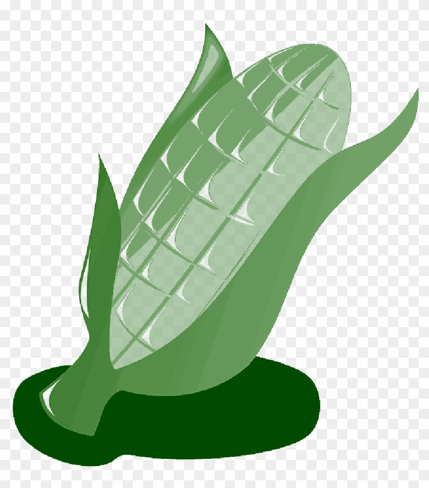 Corn, Crop, Harvest, Vegetables, Maize, Food, Kwanzaa - Maize #1294588