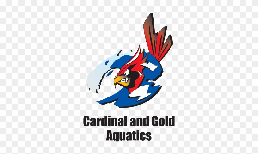 10 Mar Cardinal Gold Aquatics - Gold #1294626