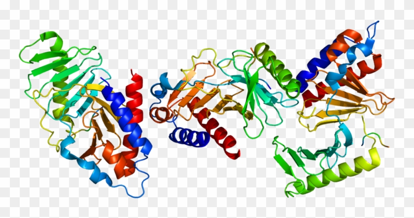 Clinical Trial For Gi Carcinoid Patients Recruiting - Plk1 Crystal Structure #1294680