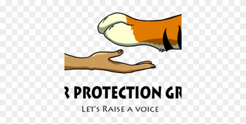 Tiger Protection Grp - Tiger Protection #1294714