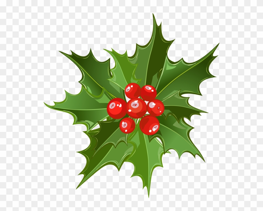 Http - //favata26 - Rssing - Com/chan-13940080/all - Mistletoe Pictures Png #1295006