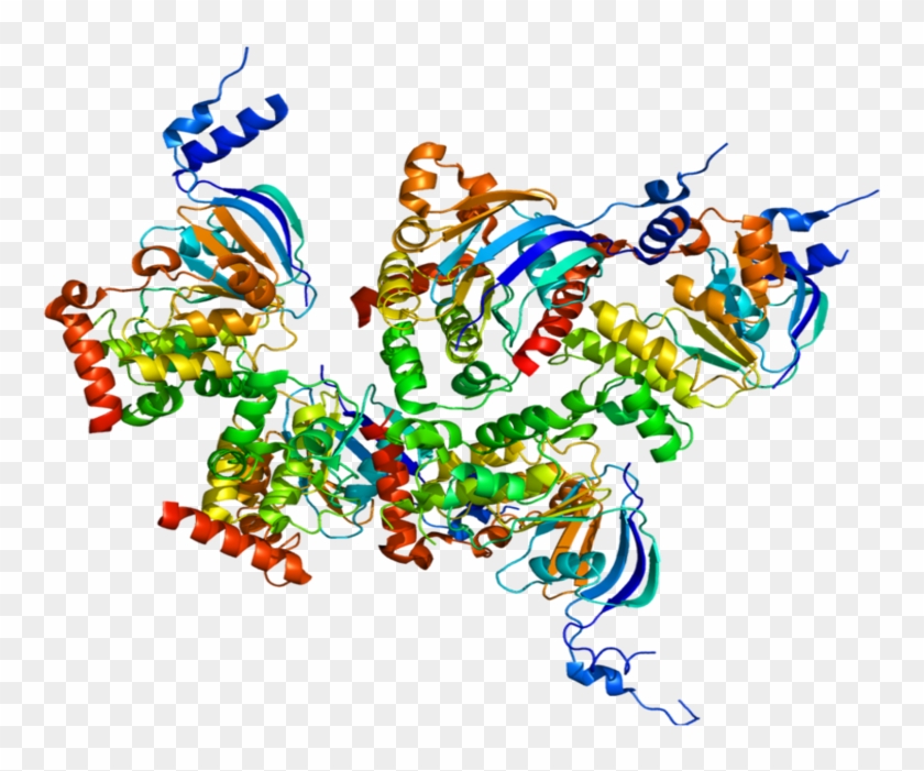 Rendering Of Cftr Protein's Structure - Cystic Fibrosis Transmembrane Conductance Regulator #1295103