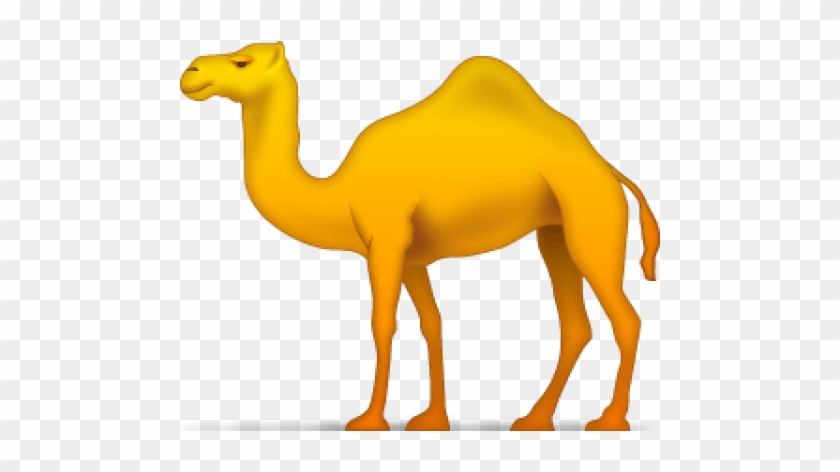 Camel Png Free Png Images Toppng Rh Toppng Com - Camel Icon #1295109