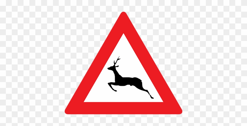 The Austrian Deer May Have Skinny Legs But At Least - Dare Precedenza Sensi Unici Alternati #1295134