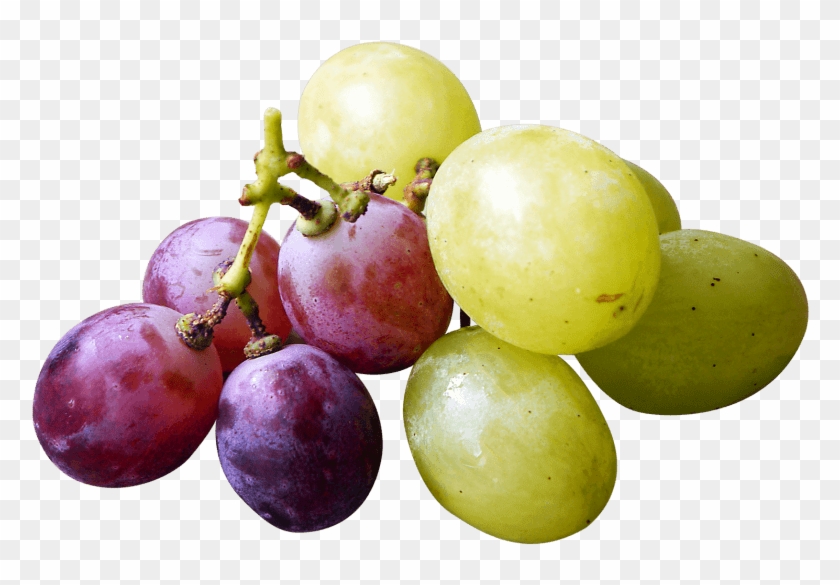 Free Png Red And Green Grapes Png Images Transparent - Red And Green Grapes Png #1295428