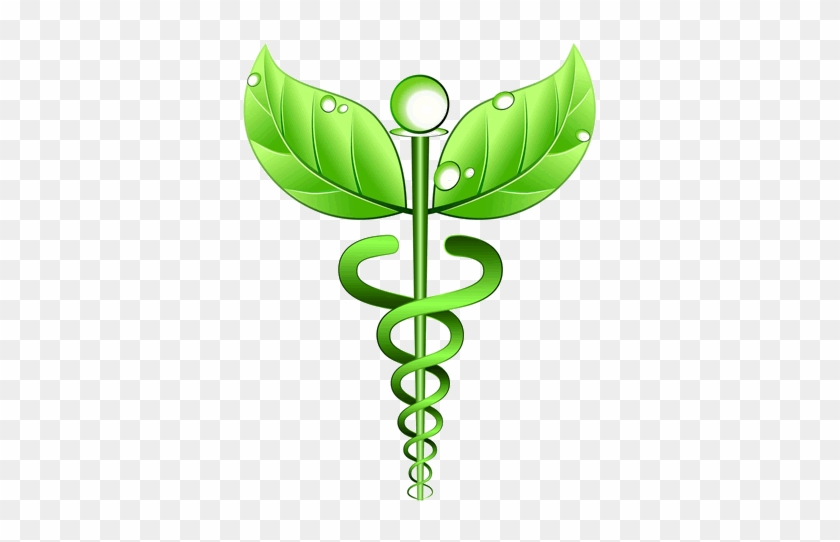 Houston Holistic Health Clinic Hair Analysis Alternative - Alternative Medicine Symbol #1295459