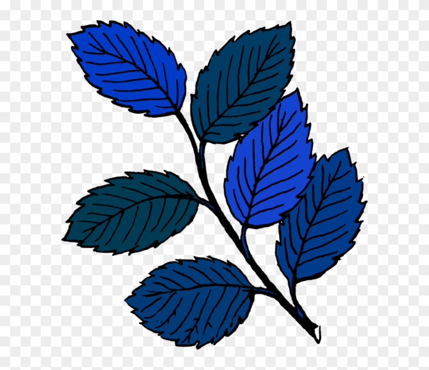 Database Developer - Leaves Clip Art #1295506