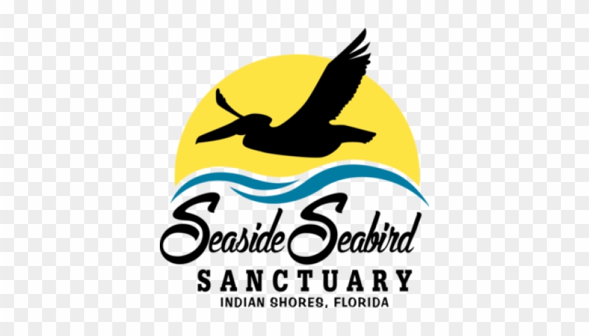 Seaside Seabird Sanctuary #1295565