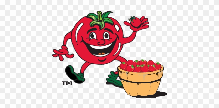 Tomato-cage - Cage #1295770