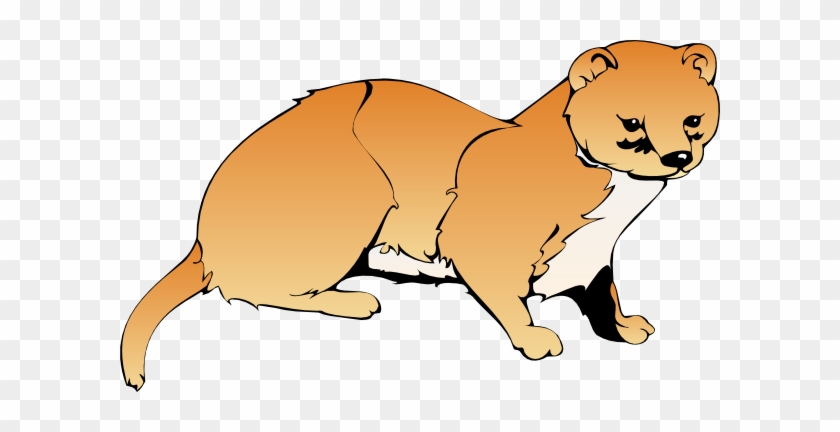 Weasels Clipart #1295868