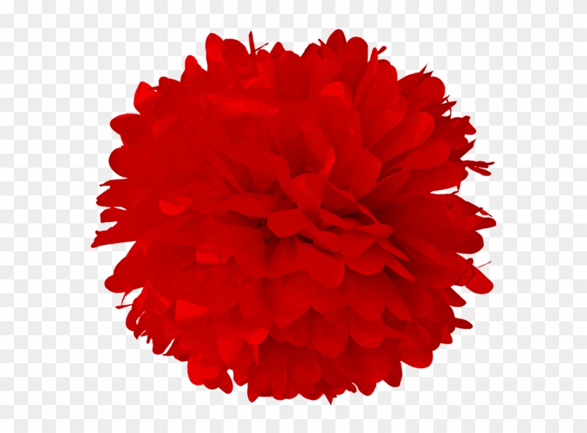 8 Red Tissue Pom Poms Lanterns And More - Turquoise Blue 10 Inch Tissue Paper Flower Pom-pom #1295923