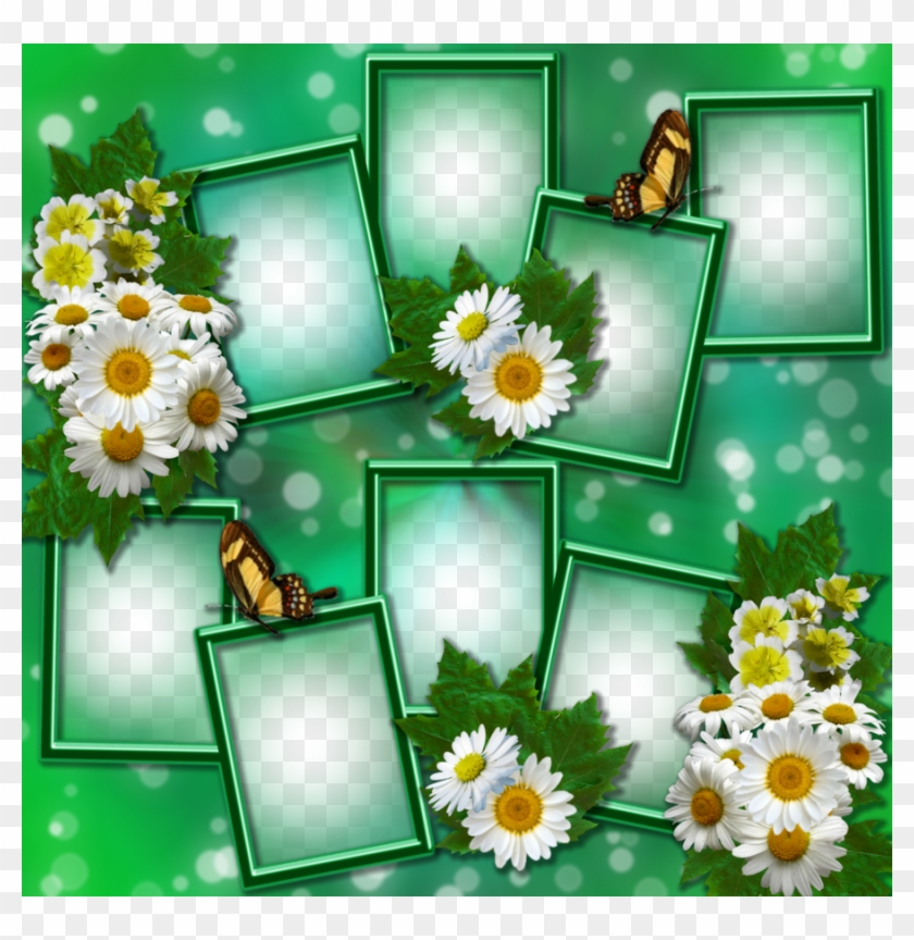 Frames In Green And Daisies By Venicet On Deviantart - Png Green Photo Frame #1296161