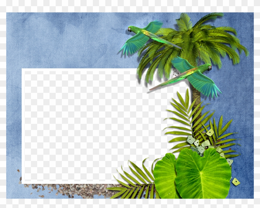 Exotic Tropical Leaves Wreath Border Frame Green Stock - Palm Tree Frame Transparent #1296173