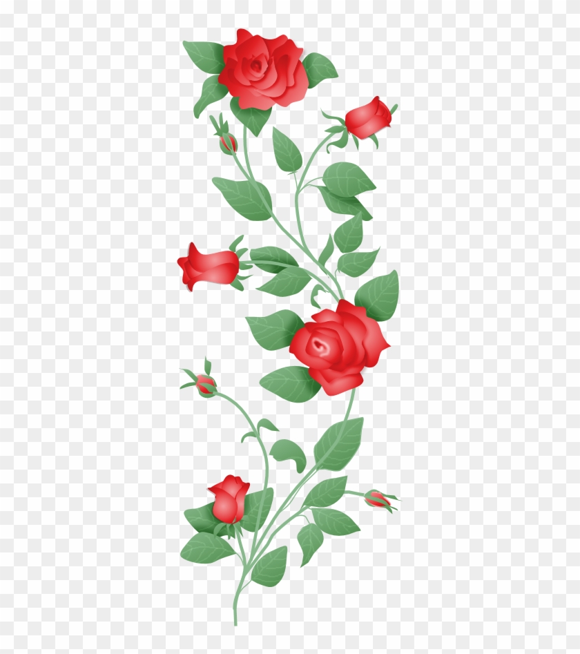 Source - - Roses On A Vine Png #1296291