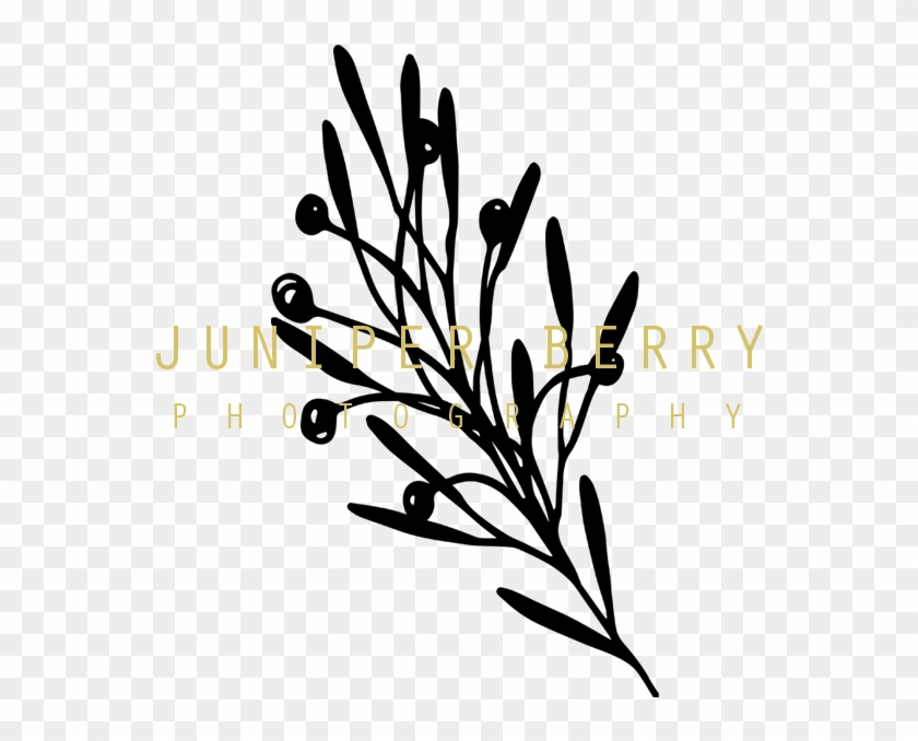Juniper Berry Photography - Juniper Berry Photography #1296319