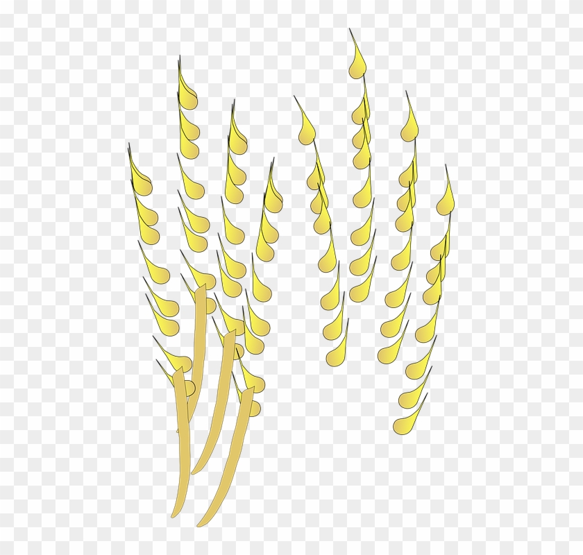 Agriculture Crop Cliparts 17, Buy Clip Art - Cereal #1296431