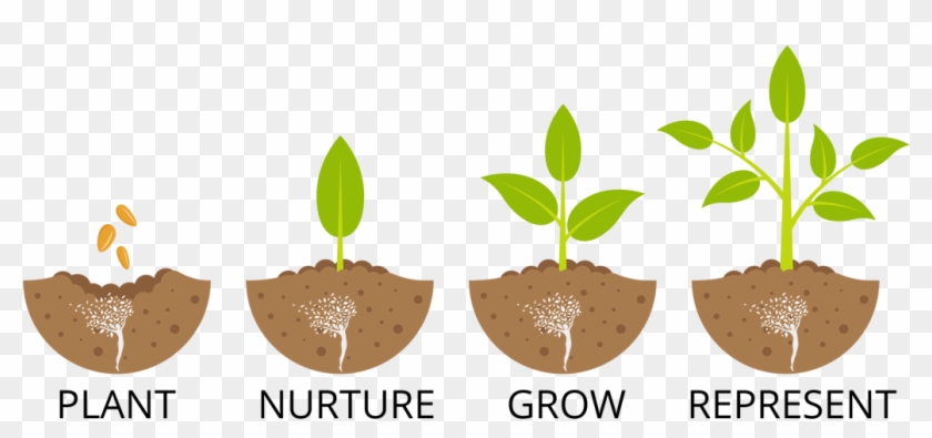 Second Chances Growing Principles For Change - Stages Of A Tree Growing #1296454