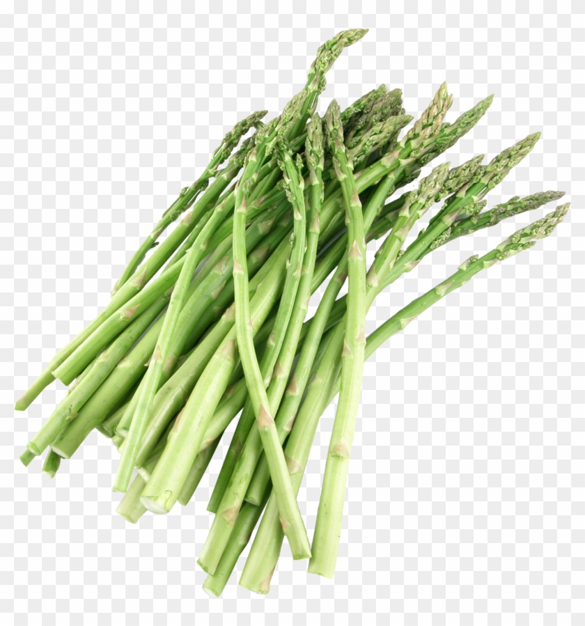 Asparagus Png Image - Asparagus Png #1296546