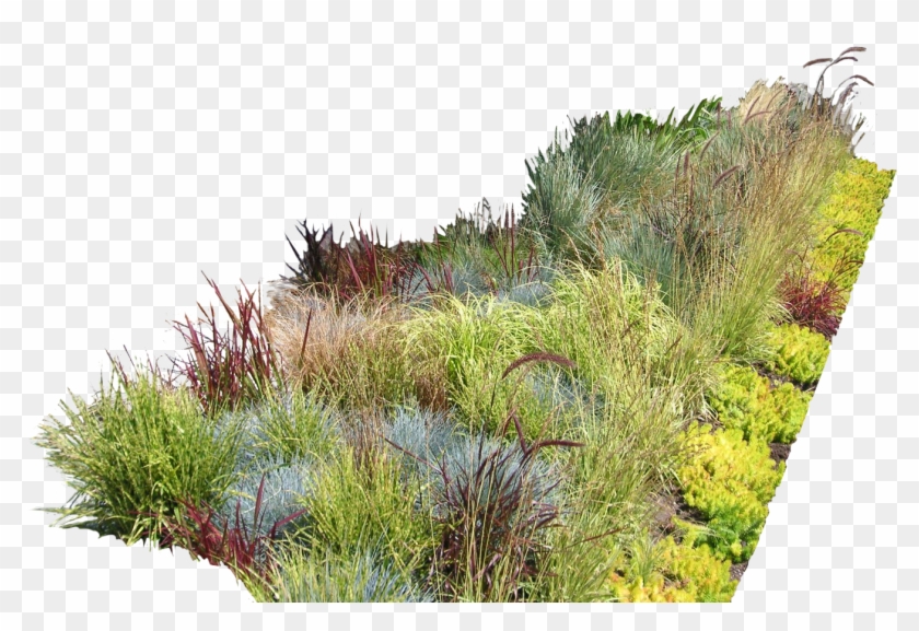 Garden Ideas Garden Design Landscaping Landscape Design - Photoshop Plants Png #1296560