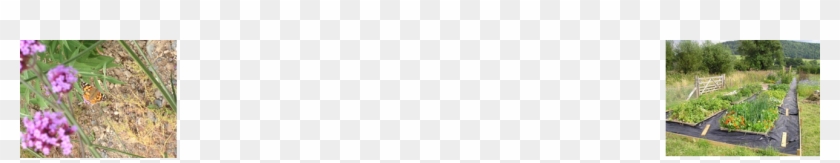 Garden - Parallel #1296640