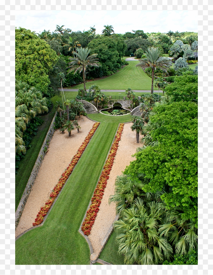 Fairchild Tropical Botanic Garden, Coral Gables, Fl - Glade #1296672