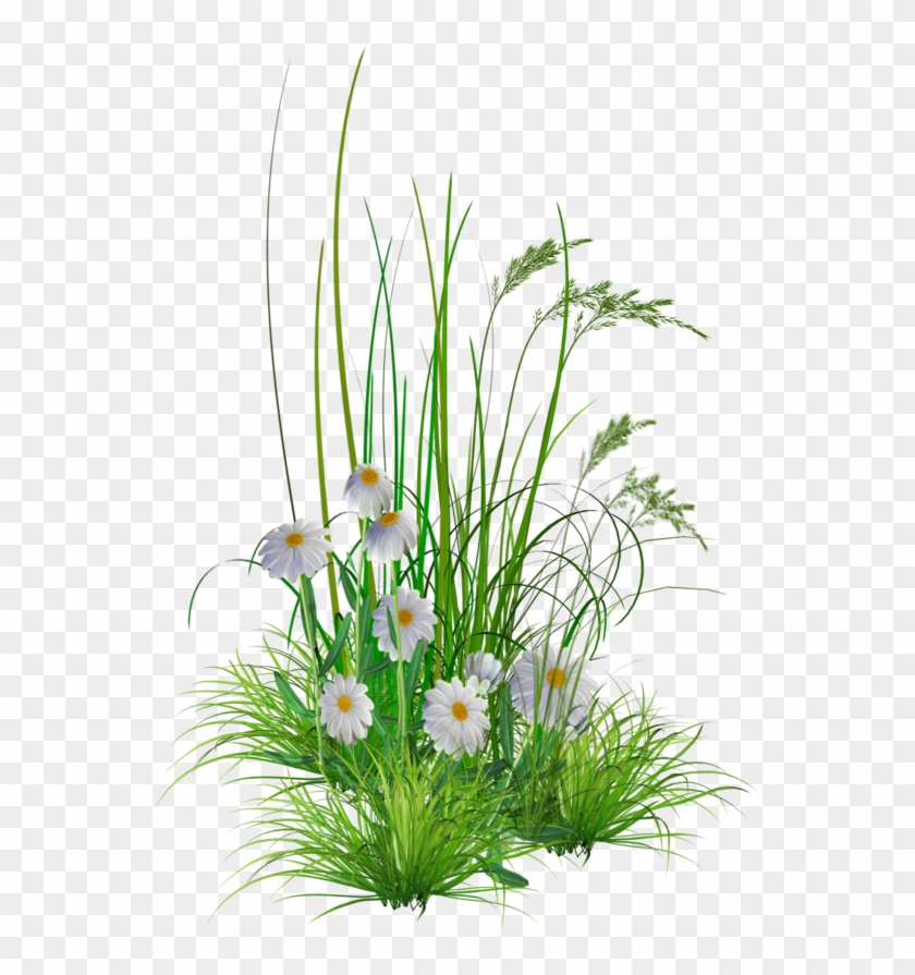 Flowers Garden Png #1296676