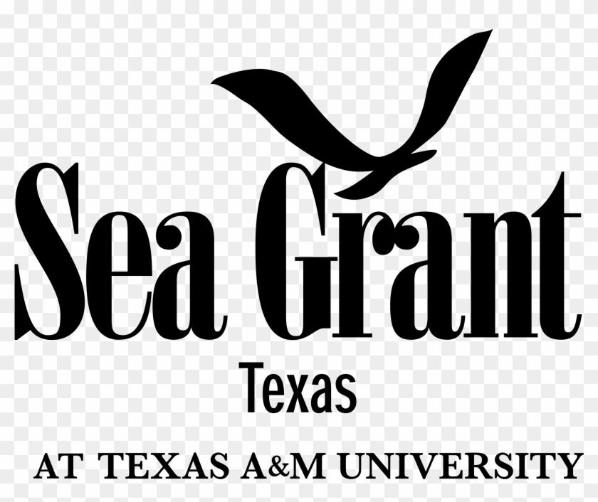Branding Guide - National Sea Grant College Program #1296970