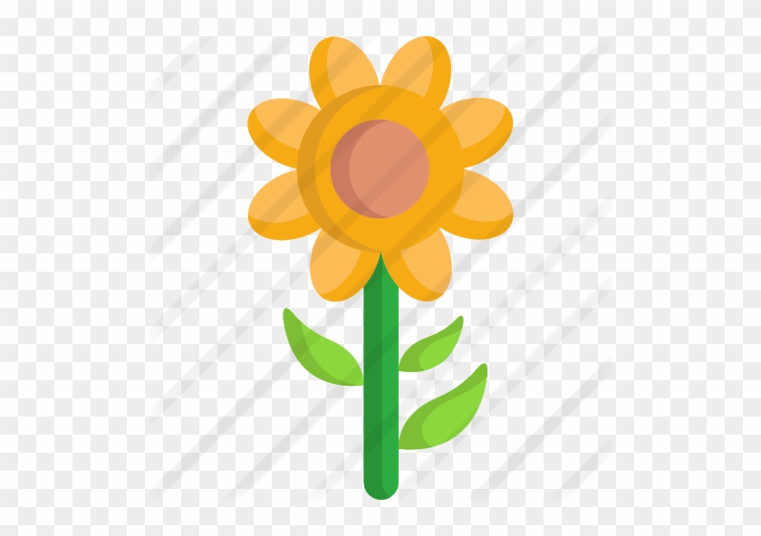 Sunflower - Sunflower #1297062